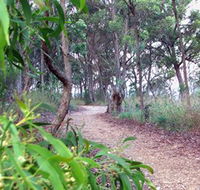 Mount Mutton Walking Trail - Accommodation Gladstone
