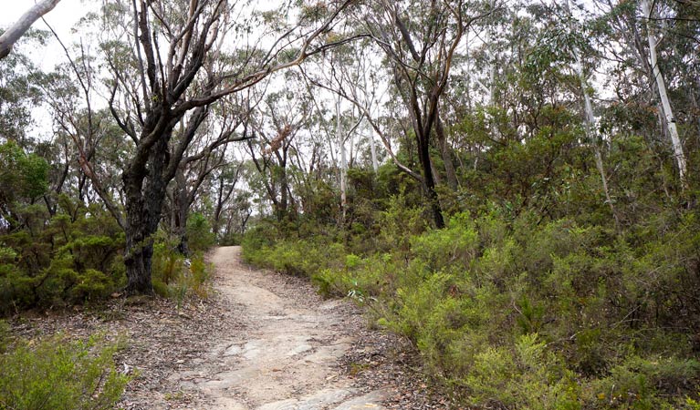 Ganbenang NSW Accommodation Gladstone