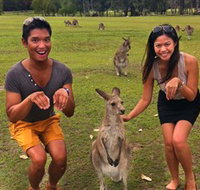 Runaway Tours - Accommodation Gladstone