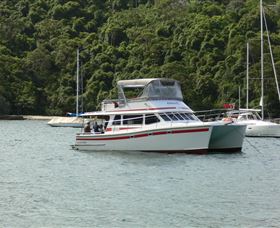 Waratah Adventure Tours - Accommodation Gladstone 1