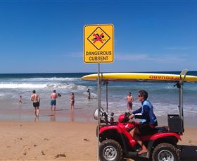 Waratah Adventure Tours - Accommodation Gladstone 2