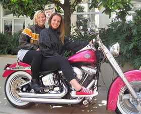 Wild Ride Harley And Motorcycle Tours - Accommodation Gladstone 0