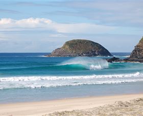 Surfaris Surf Camp - Accommodation Gladstone 4