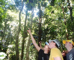 Understand Down Under - Accommodation Gladstone 5