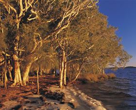East Coast Adventure Bus - Accommodation Gladstone 2
