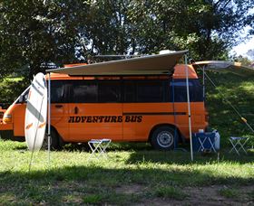 East Coast Adventure Bus - Accommodation Gladstone 0