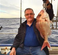 Deep Sea Fishing Charter - Accommodation Gladstone