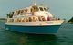 Cruise Sydney Harbour 