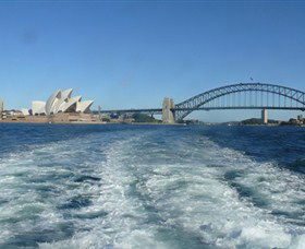 Oz Whale Watching - Accommodation Gladstone 5