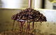 Quealy Winemakers - thumb 6