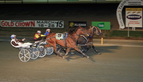 Bathurst Harness Racing Club - Accommodation Gladstone 3