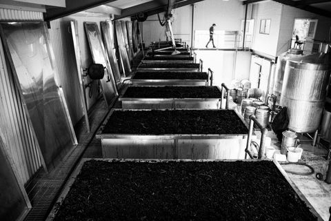 Clonakilla Wines - Accommodation Gladstone 9