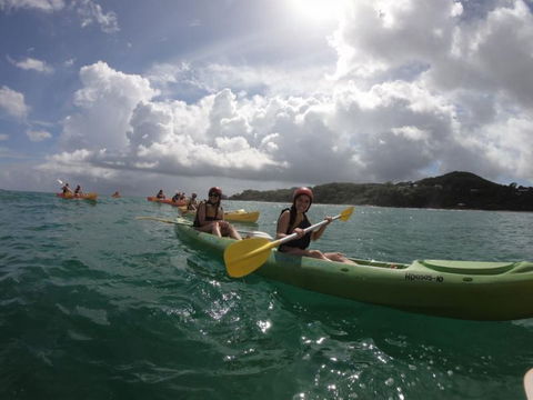 Cape Byron Kayaks - Accommodation Gladstone 3