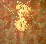 Fellia Melas Gallery - Accommodation Gladstone