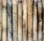 Kerrie Lowe Gallery - Accommodation Gladstone