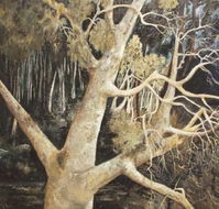 Ku-Ring-Gai Art Centre  Gallery - Accommodation Gladstone