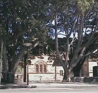 Rozelle Weekend Markets - Accommodation Gladstone