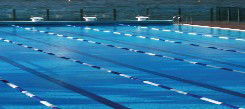 Andrew Boy Charlton Pool - Accommodation Gladstone 1