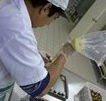 Fremantle Chocolate Pty ltd - Accommodation Gladstone