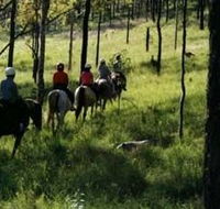 Hunter Valley Horse Riding and Adventures - Accommodation Gladstone