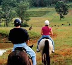 Hunter Valley Horse Riding And Adventures - Accommodation Gladstone 3
