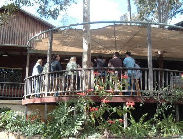 Hunter Vineyard Tours - Accommodation Gladstone 0