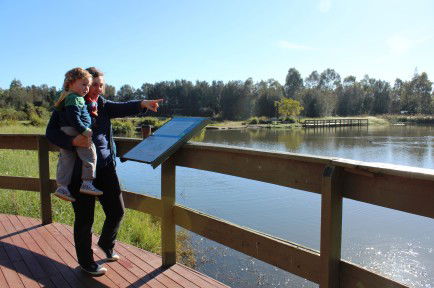 Hunter Wetlands Centre Australia - Accommodation Gladstone 0