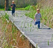 Hunter Wetlands Centre Australia - Accommodation Gladstone 1