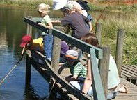 Hunter Wetlands Centre Australia - Accommodation Gladstone 2