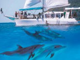 Imagine Cruises - Accommodation Gladstone 2