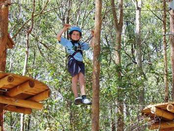 TreeTops Newcastle - Accommodation Gladstone 0