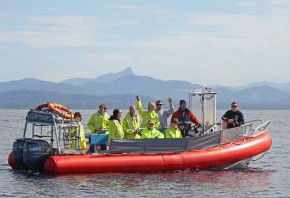Byron Bay Whale Watching - Accommodation Gladstone 2