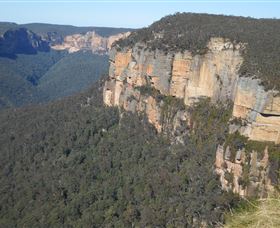 Country Charmâ„¢ Discovery Tours - Accommodation Gladstone 4