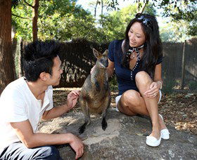 VIP Aussie Gold - Accommodation Gladstone 0
