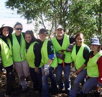 Conservation Volunteers Australia - Sydney - Accommodation Gladstone
