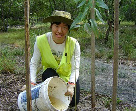 Conservation Volunteers Australia - Sydney - Accommodation Gladstone 1