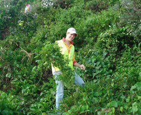 Conservation Volunteers Australia - Sydney - Accommodation Gladstone 2