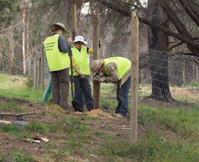 Conservation Volunteers Australia - Sydney - Accommodation Gladstone 4