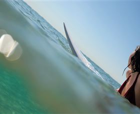 Manly Surf Guide - Accommodation Gladstone 1