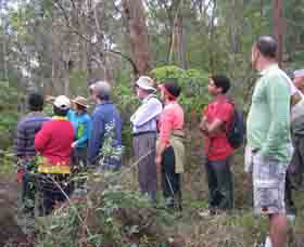 Boronia Tours - Accommodation Gladstone 0