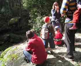 Boronia Tours - Accommodation Gladstone 2