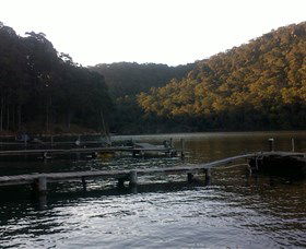 Church Point Ferry Service - Accommodation Gladstone 5