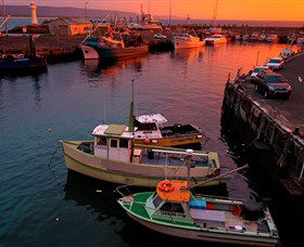 Australian Sightseeing And Photography Tours - Accommodation Gladstone 2