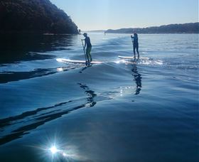 Avalon Stand Up Paddle - Accommodation Gladstone 2