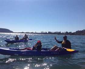 Pittwater Kayak Tours - Accommodation Gladstone 7