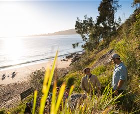 Pittwater Kayak Tours - Accommodation Gladstone 8