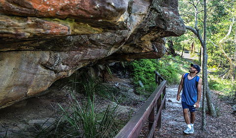 Aboriginal Heritage Walk - Accommodation Gladstone 0