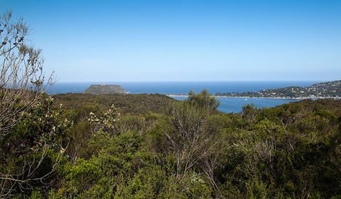 Aboriginal Heritage Walk - Accommodation Gladstone 1