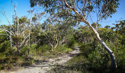 Aboriginal Heritage Walk - Accommodation Gladstone 2