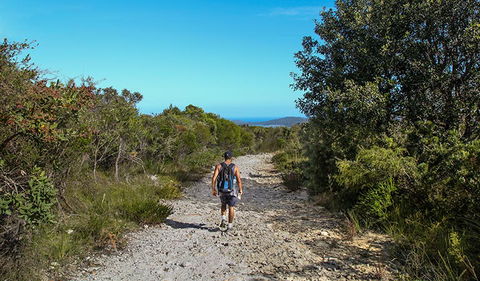 Aboriginal Heritage Walk - Accommodation Gladstone 3